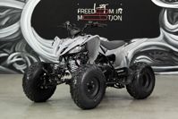 купить Квадроцикл SHARMAX Raizer Race Cup 250 в Москве - фото 