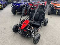 купить Багги SHARMAX Тигр 250 в Москве - фото 