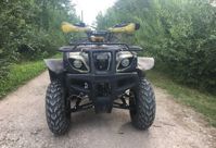 купить Квадроцикл MOTOLAND 250 Adventure (2021 Г.) в Москве - фото 