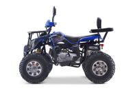 купить Квадроцикл YACOTA Grom 200 Pro в Москве - фото 