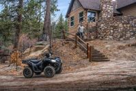 купить Квадроцикл KAWASAKI Brute Force 750 EPS (2024) (ПСМ) в Москве - фото 