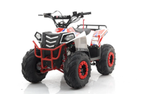 купить Квадроцикл MOTAX Grizlik A110 в Москве - фото 