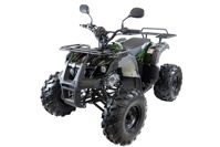 купить Квадроцикл MOTAX ATV Grizlik 7 110 cc в Москве - фото 