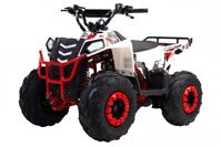 купить Квадроцикл WELS Thunder EVO M детский в Москве - фото 