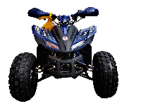 купить Квадроцикл MOTOLAND 125 Coyote Pro в Москве - фото 