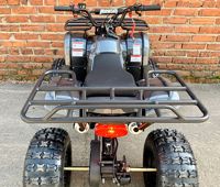 купить Квадроцикл MOWGLI Simple 8+ в Москве - фото 
