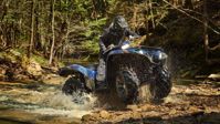 купить Квадроцикл YAMAHA Grizzly 700 EPS STD (ПСМ) в Москве - фото 