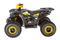 купить Квадроцикл AVANTIS Classic 8 New в Москве - фото 