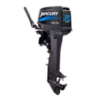 купить 2х-тактный лодочный мотор MERCURY ME 25 M SEAPRO в Москве - фото 