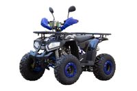 купить Квадроцикл UNIVERSAL ATV 125 TM Fusion plus в Москве - фото 