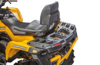 купить Квадроцикл СТЕЛС ATV 800G Guepard Trophy CVTech (канадский вариатор) (ПСМ) в Москве - фото 