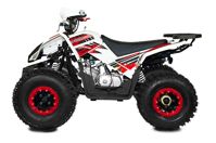купить Квадроцикл SHARMAX Cross 180 в Москве - фото 