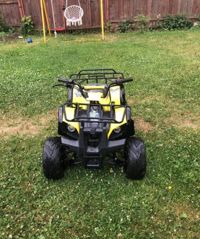 купить Квадроцикл ABM Ninja 110 в Москве - фото 