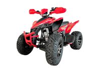 купить Квадроцикл YACOTA Typhoon 250LD в Москве - фото 