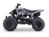 купить Квадроцикл SHARMAX Raizer Race Cup 250 в Москве - фото 