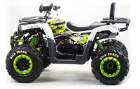 купить Квадроцикл MOTOLAND ATV 200 Wild Track в Москве - фото 