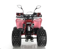 купить Квадроцикл WELS Thunder EVO X в Москве - фото 