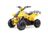 купить Квадроцикл SHARMAX 130 Cross в Москве - фото 