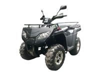 купить Квадроцикл RATO RT250ST Premium в Москве - фото 