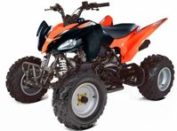 купить Квадроцикл ABM Scorpion 250 в Москве - фото 