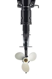 купить 2х-тактный лодочный мотор MAGNUM PRO SM5HS в Москве - фото 