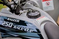 купить Квадроцикл SHARMAX Raizer Race Cup 250 в Москве - фото 