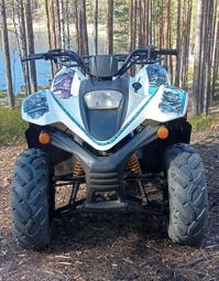 купить Квадроцикл BALTMOTORS Jam 100 (2022) Б/У в Москве - фото 