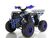 купить Квадроцикл WELS Thunder EVO в Москве - фото 