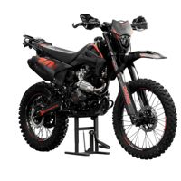 купить Мотоцикл DAREX Timer 300 ENDURO в Москве - фото 