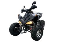 купить Квадроцикл MOTORHEAD RockIt 200 в Москве - фото 