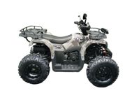 купить Квадроцикл MOTAX ATV Grizlik T200 Lux в Москве - фото 