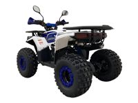 купить Квадроцикл AVANTIS Optima 8+ в Москве - фото 