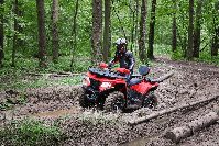 купить Квадроцикл SHARMAX Force 420 Cyber EFI в Москве - фото 