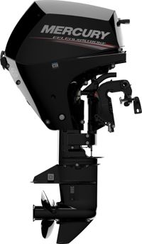 купить 4х-тактный лодочный мотор MERCURY ME F 15 EL EFI в Москве - фото 