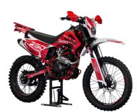 купить Мотоцикл DAREX Timer 250 ENDURO в Москве - фото 
