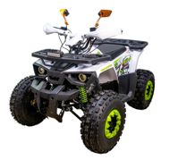 купить Квадроцикл GAOBO Kids 125 LD в Москве - фото 