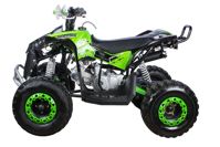 купить Квадроцикл YACOTA Renegade в Москве - фото 