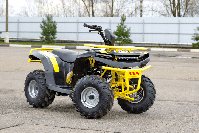 купить Квадроцикл IRBIS ATV 125 в Москве - фото 