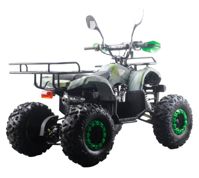 купить Квадроцикл MOTAX ATV Grizlik-8 125 в Москве - фото 