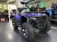 купить Квадроцикл IRIDE Wolf 300 в Москве - фото 