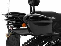 купить Снегоход SHARMAX Forester SN-210 (2024) в Москве - фото 