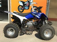 купить Квадроцикл ABM Scorpion 125A в Москве - фото 