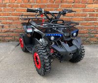 купить Квадроцикл MOWGLI Mini Hardy 4T в Москве - фото 