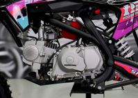 купить Мотоцикл питбайк SHARMAX MOTORS PowerMax 190 MIAMI в Москве - фото 