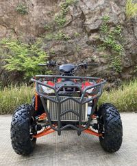 купить Квадроцикл TIGER 4х4 380 в Москве - фото 