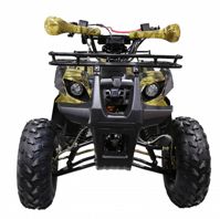 купить Квадроцикл ATV Termit TT в Москве - фото 