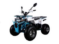 купить Квадроцикл Avantis Aura 125 Рrеmium в Москве - фото 