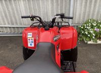 купить Квадроцикл GRIZZLY 300cc (2022) Б/У в Москве - фото 