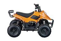 купить Квадроцикл STALKER 110 в Москве - фото 