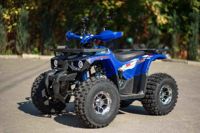 купить Квадроцикл AVANTIS Hunter 8 New Premium в Москве - фото 